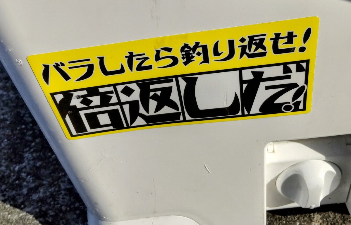 そんな気力が無い。