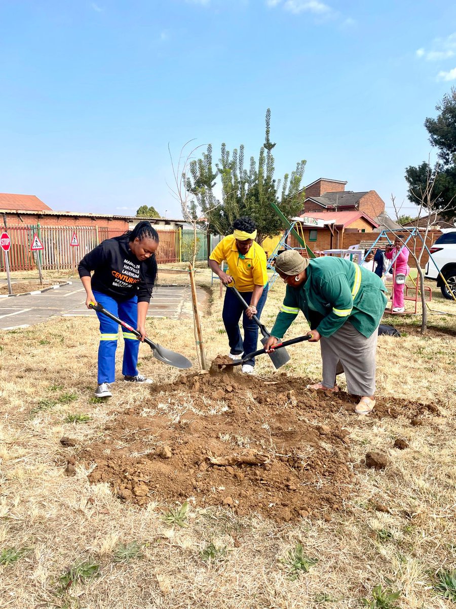 nasiphim's tweet image. Our second stop for the tree planting initiative was in Nelson Mandela Park, in Mamelodi. Planting trees is an avenue to leave a legacy for the future. The trees we’ve planted today should benefit future generations. We have a target of planting 300,000 trees by the of 2025. We…