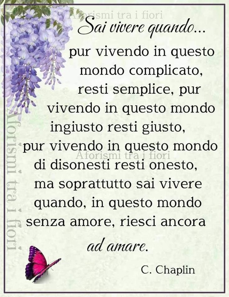 rossanafrancio1's tweet image. #cheCosaStraordinaria la semplicità...che ti fa sopravvivere! #UnTemaAlGiorno