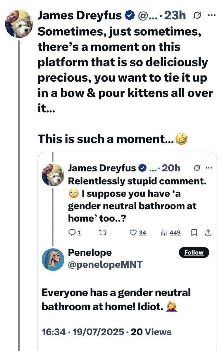DreyfusJames's tweet image. Sometimes, just sometimes, there’s a moment on this platform when what you thought was the most deliciously precious thing you’ve seen, is topped by someone with a brain equalled only by krill.
@AnnaKuyper4 This calls for huge bows, a basketful of kittens & extra sprinkles
🫠