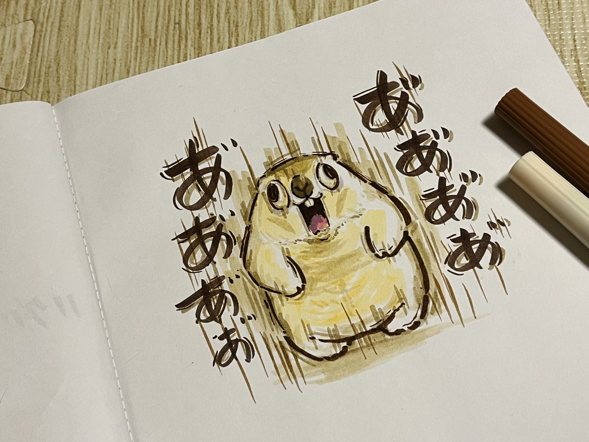 marmottooooo's tweet image. ʕ  ◐(ꈊ)◑)✨📔✍️