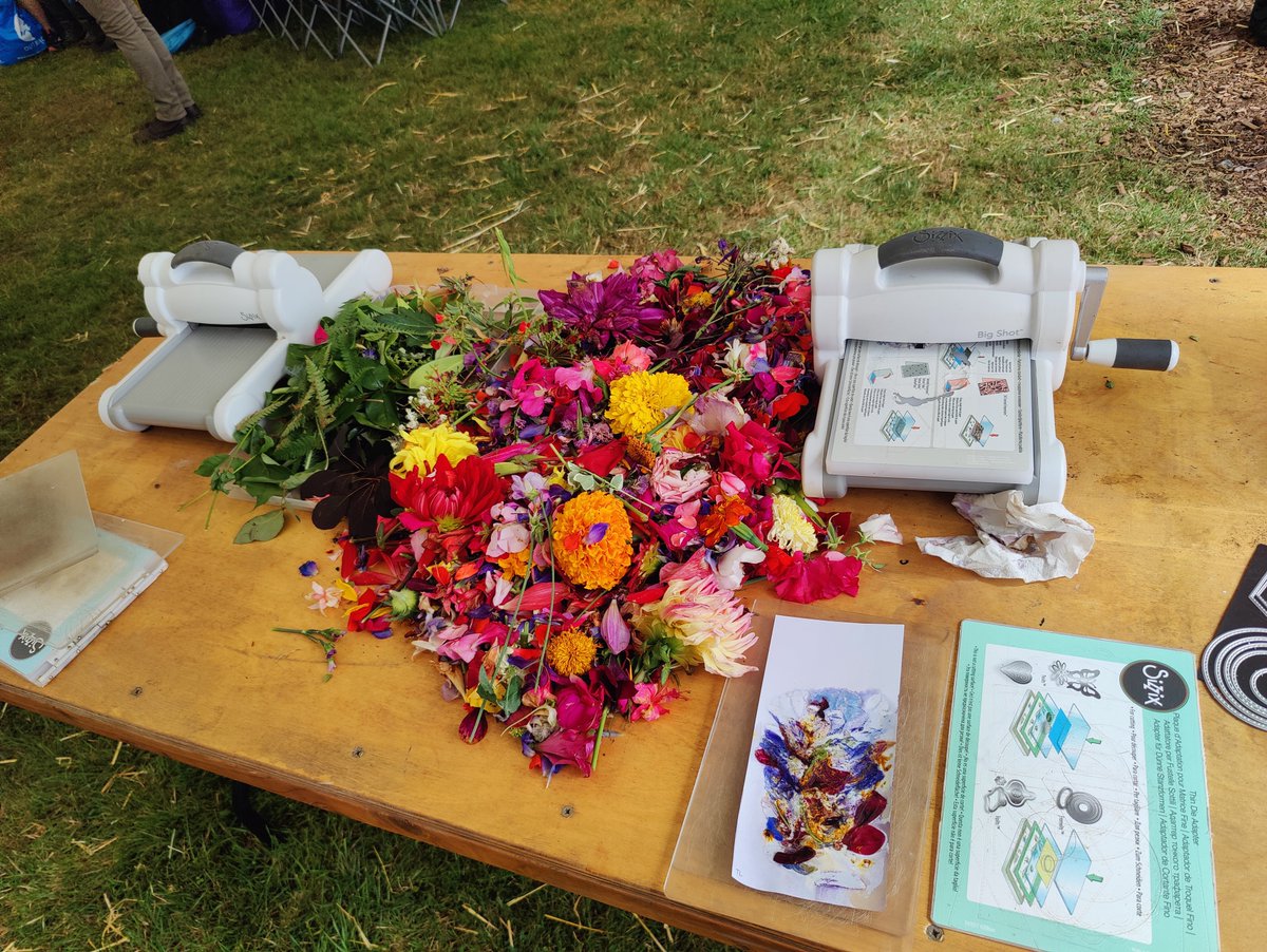 EggSeeds's tweet photo. Down at the stunning horticulture village @royalwelshshow https://t.co/JiuGDENsFk