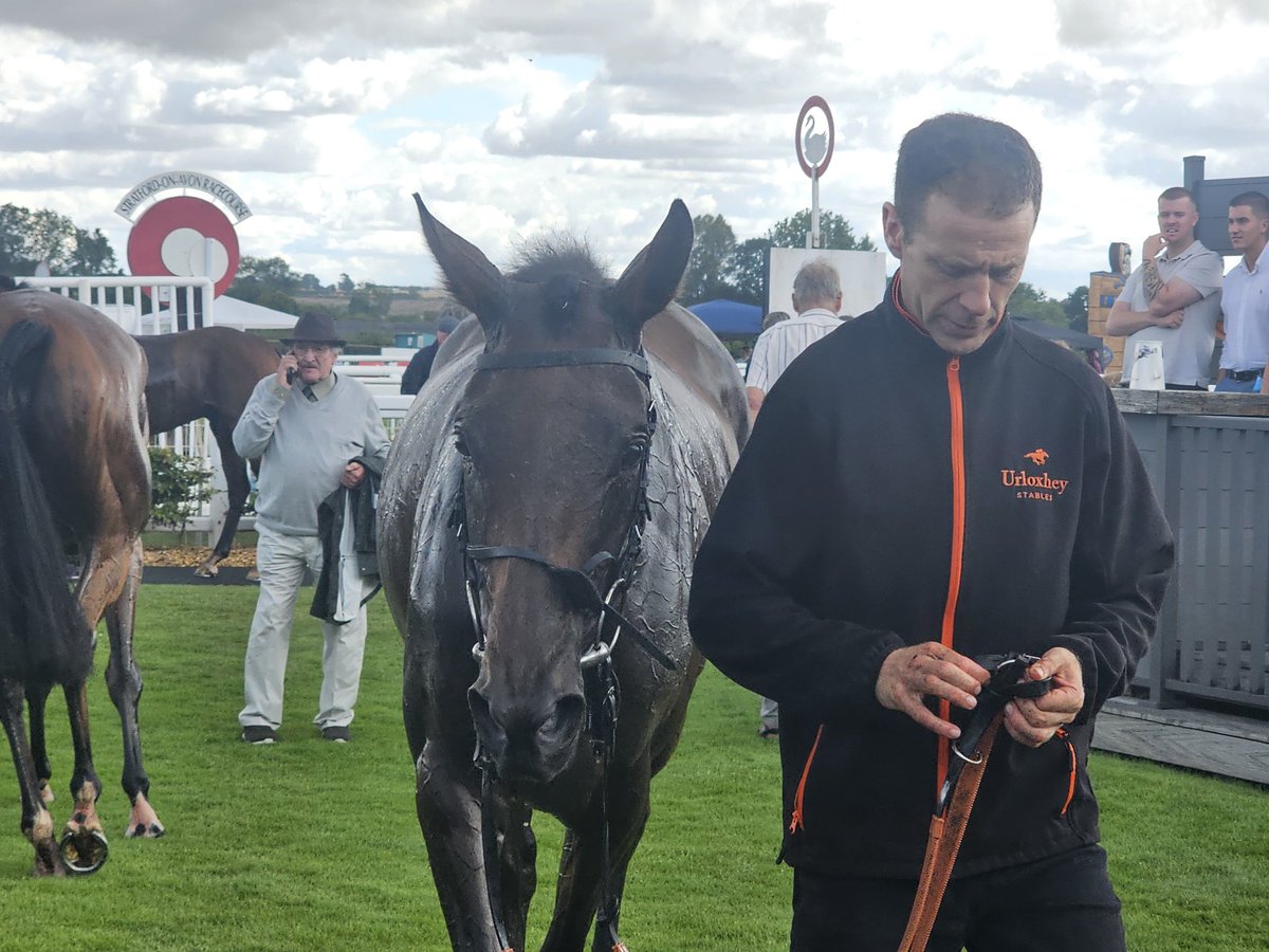 Mike Parcej (@mikeparcej) on Twitter photo Next, really good to see The Dream Goes On lay her various recent ghosts to rest, bouncing back to victory, outstaying Limerick Leader and showed real battling qualities, for <a href="/UrloxheyStables/">Richard Newland & Jamie Insole Racing</a> and <a href="/charliedeutsch2/">charlie deutsch</a>. Always nice to see horses back to form,her first win since Easter. Next, really good to see The Dream Goes On lay her various recent ghosts to rest, bouncing back to victory, outstaying Limerick Leader and showed real battling qualities, for <a href="/UrloxheyStables/">Richard Newland & Jamie Insole Racing</a> and <a href="/charliedeutsch2/">charlie deutsch</a>. Always nice to see horses back to form,her first win since Easter.