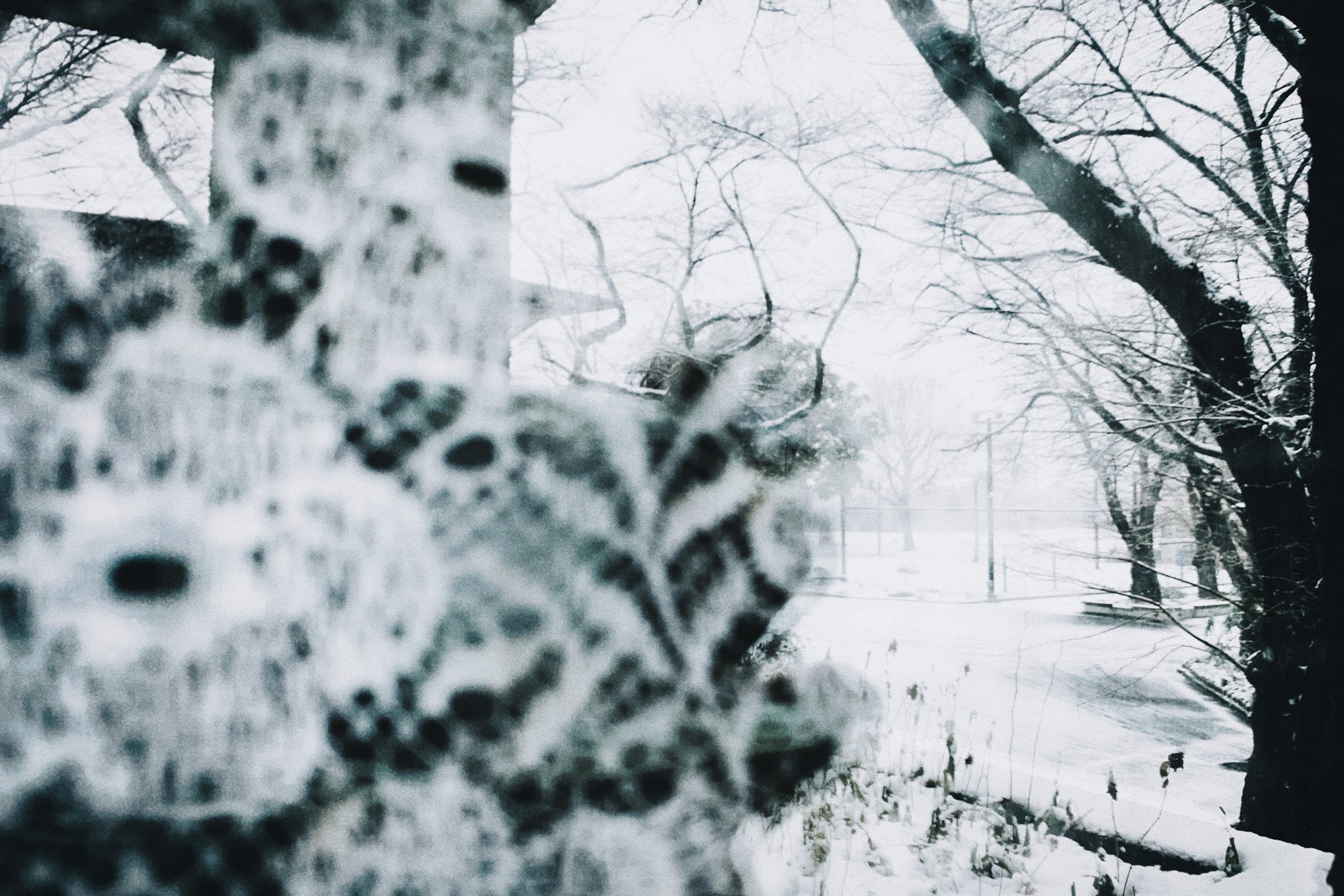 ☔︎ on X: 