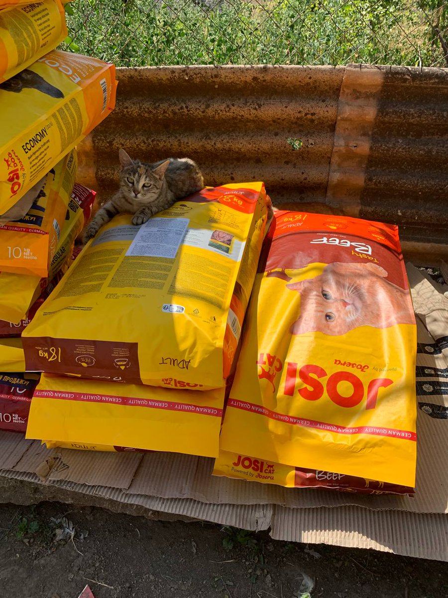 UAnimalsENG's tweet image. 📌 1,243 days of full-scale invasion.
Today, we’re sharing two important things we’ve been able to support thanks to our kind donors.
🐾 700 kilograms of pet food were delivered to the village of Pokazne in the Mykolaiv region, to the shelter run by the New World Kryvyi Rih…