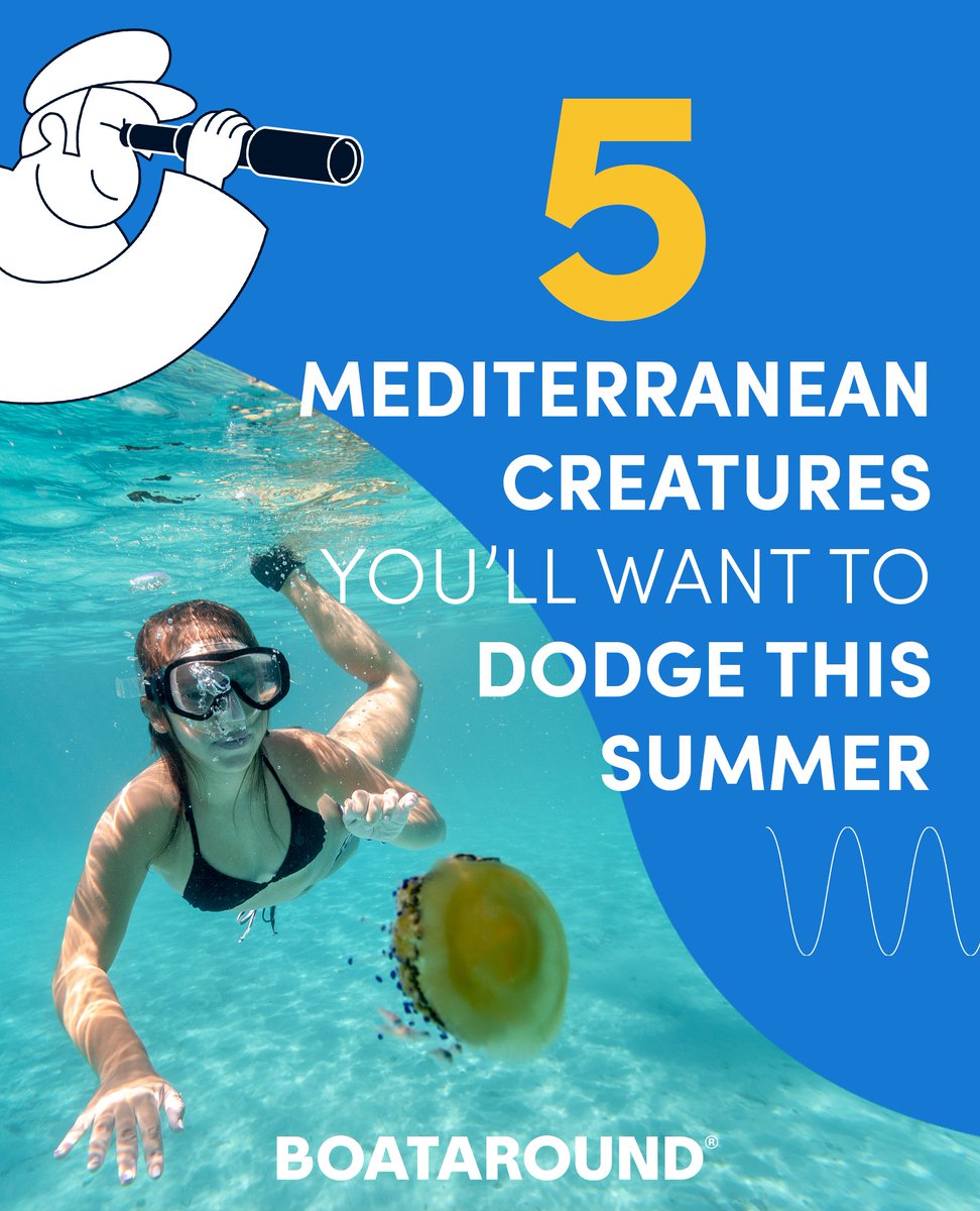 🪼Not everything in the sea wants to cuddle.
This summer, watch out for 5 Mediterranean creatures that could ruin your holiday. Know before you swim 👇
boataround.com/blog/5-mediter…