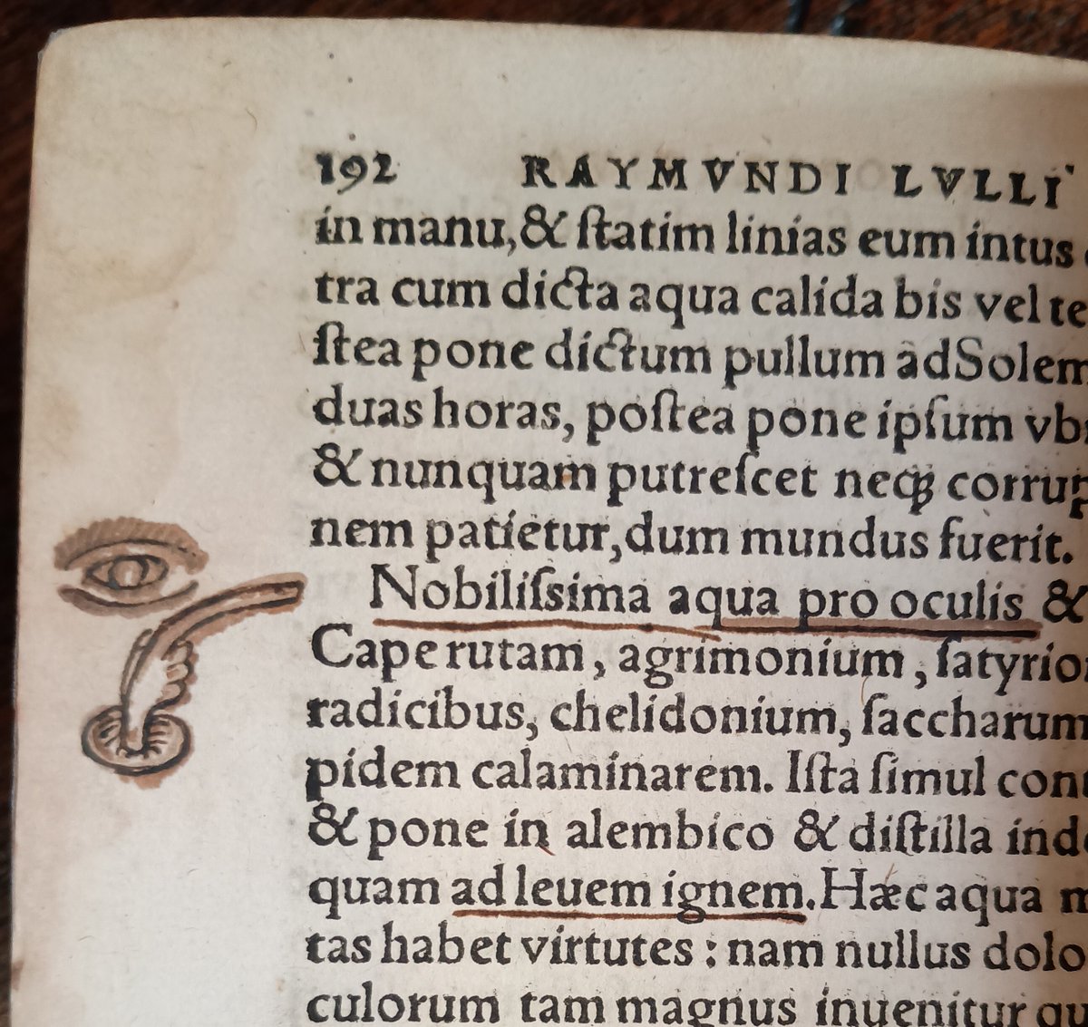 MarshsLibrary's tweet image. A manicule to point out this section is important & bonus eye to indicate that is what the remedy is for! From Ramon Llull's 'Libelli aliquot chemici', 1572 #readers #alchemy