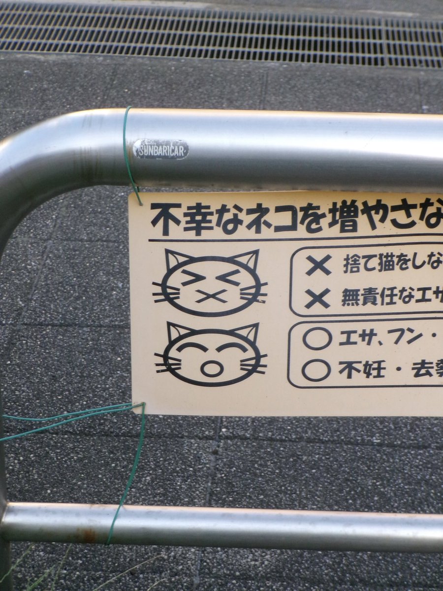 quietcatglow's tweet image. ⠀/ \ ____ / \
(   &amp;gt;    ×    &amp;lt;   ) 

　/ \ ____ / \
(     ͡     o     ͡    )