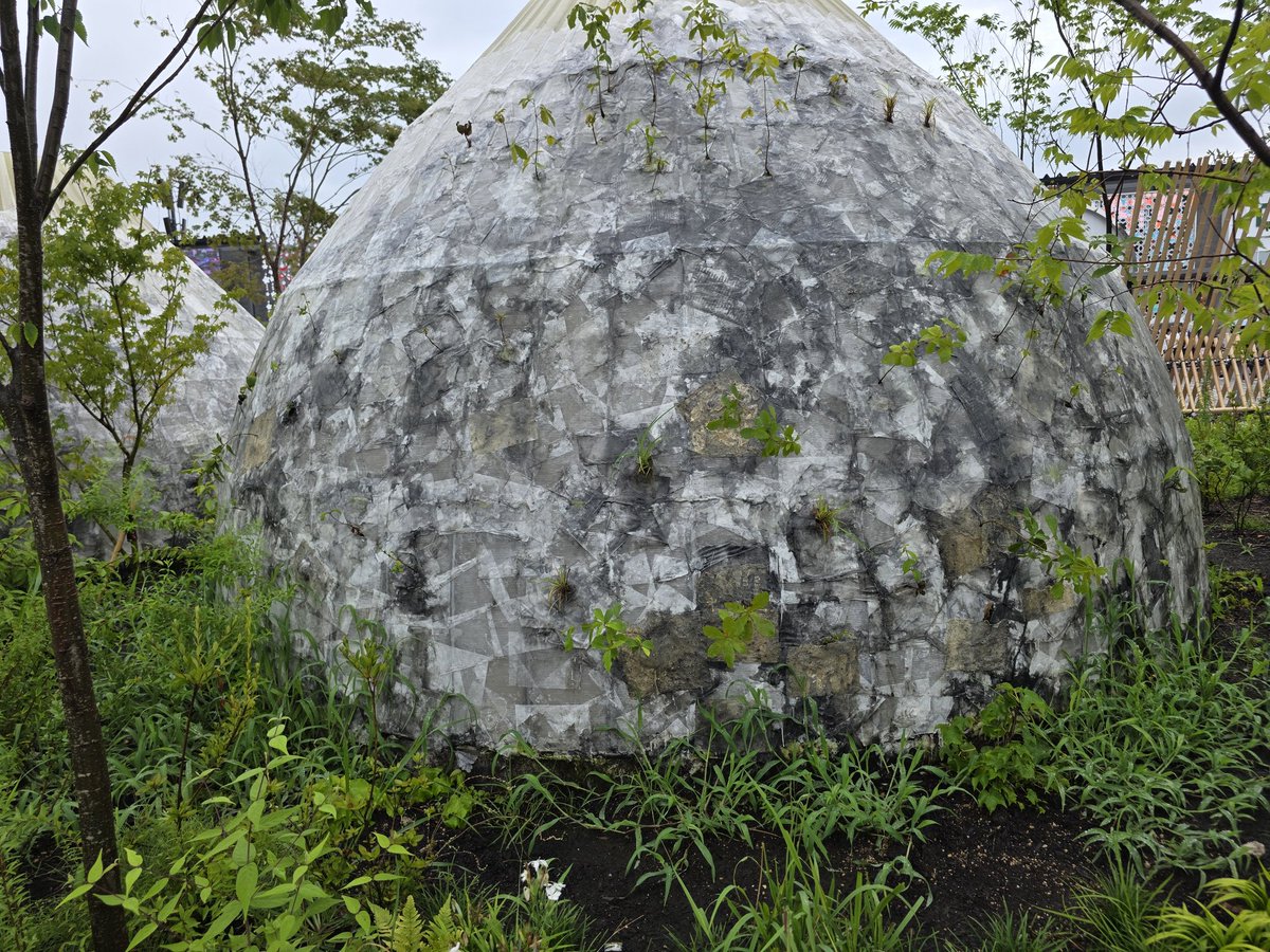 「森になる建築」
foresting-architecture.jp

森っぽく、木と一体になってきているー🌳
#EXPO2025