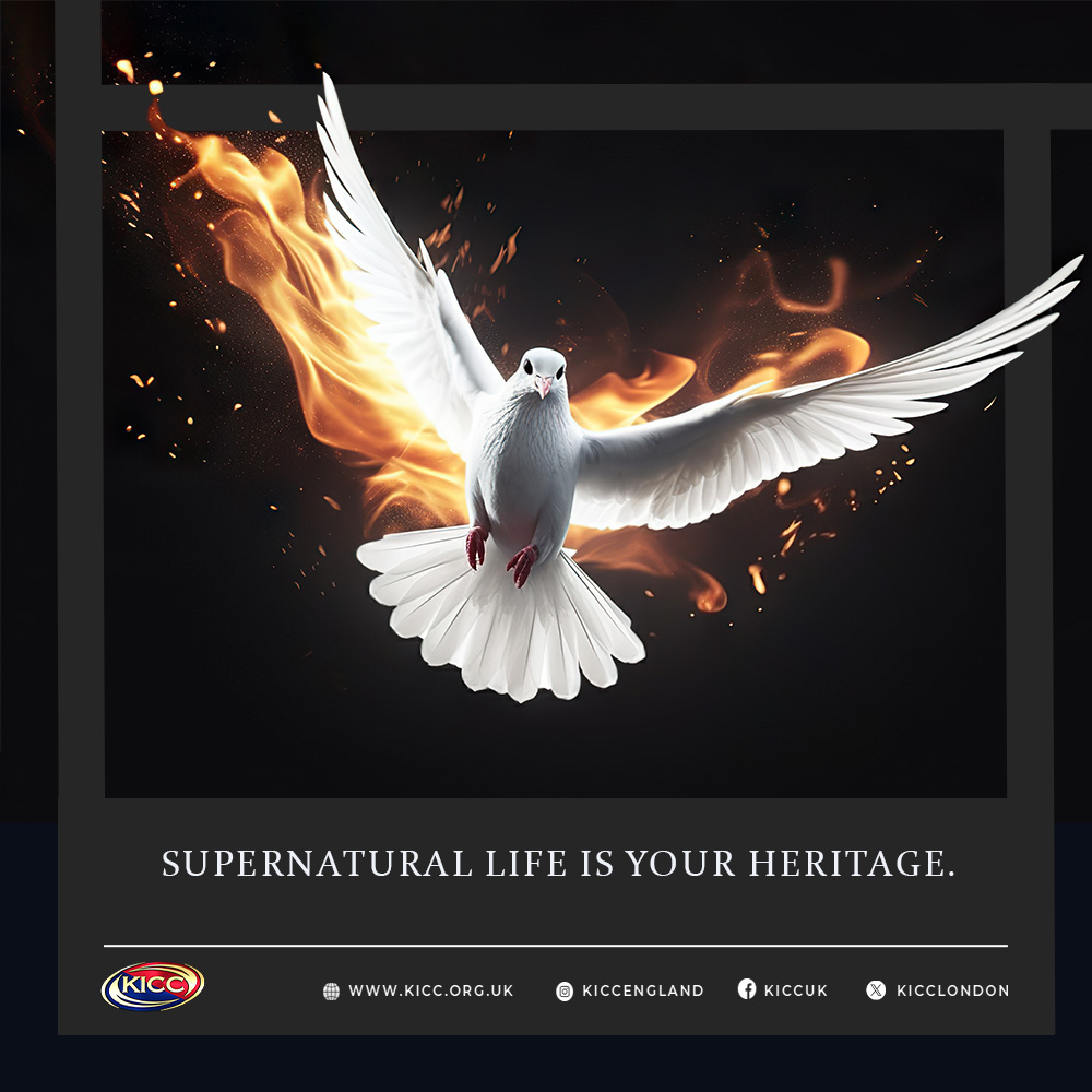 Walk in healing, miracles, and breakthroughs as part of God’s family. 
#SupernaturalLiving #GodsInheritance