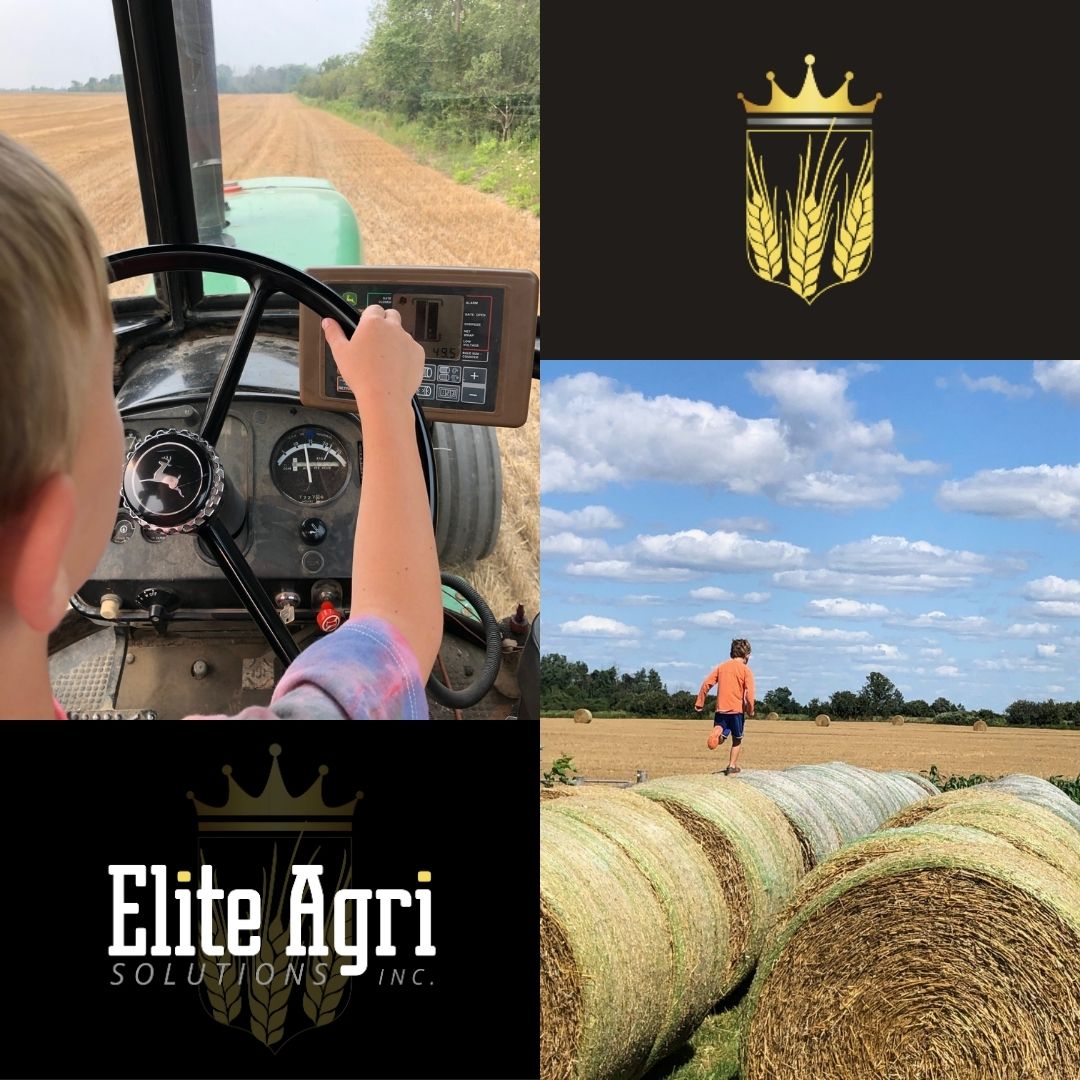 EliteAgriON's tweet photo. Team in the Field

We love seeing what our team is up to outside of the office, one of our own has been busy harvesting wheat and planting some cover crops! 

Hoping everyone is having a productive and safe season so far!
#FarmLife #CoverCrops  #AgProud #AgInAction https://t.co/cwcDbZB3Ie