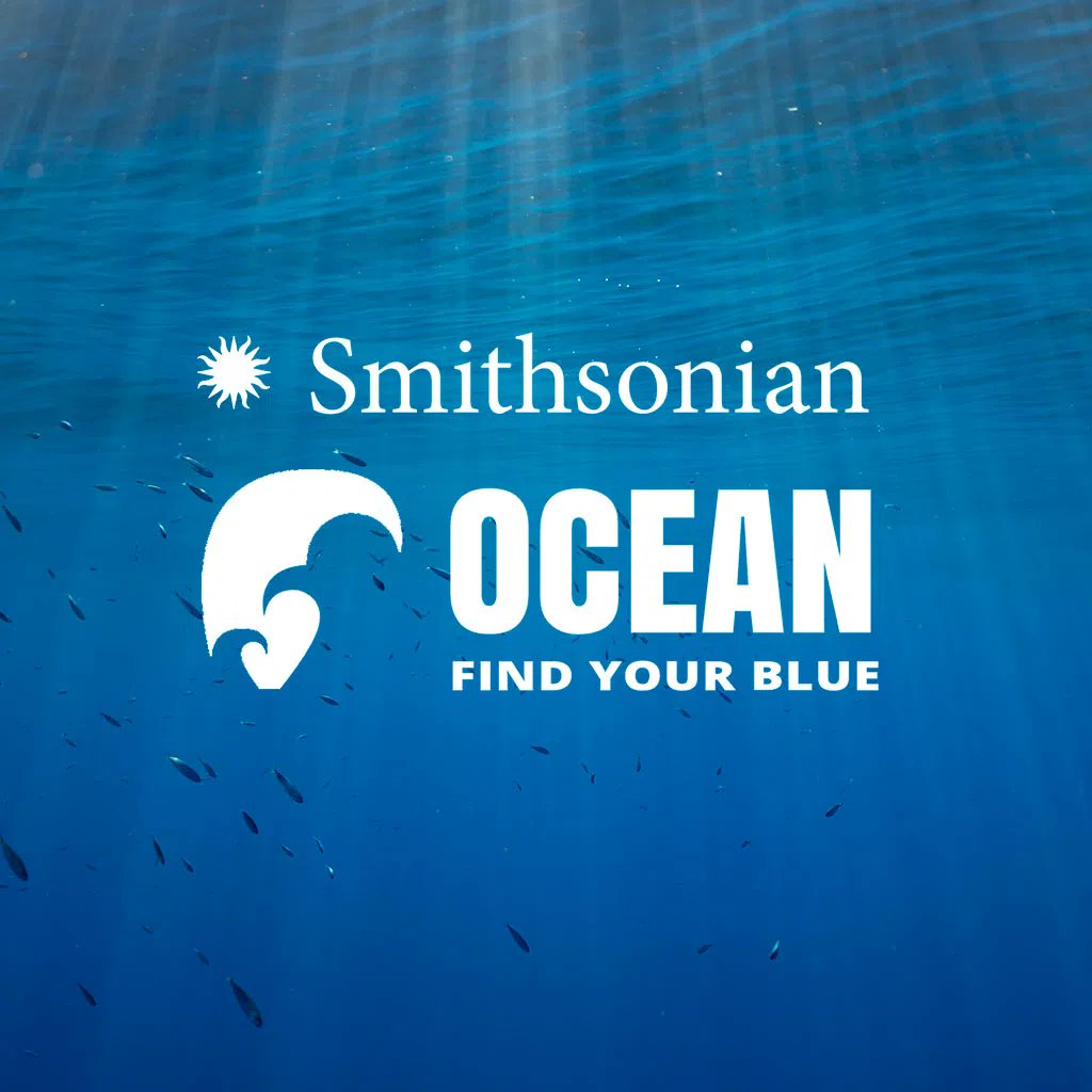 🦈It's SHARK WEEK! 🌊A great family resource is the Smithsonian Ocean Portal, which focuses on everything ocean. 🐠Explore all about sharks + ocean life, ecosystems, and the human connection through vibrant visuals and articles. ocean.si.edu/ocean-life