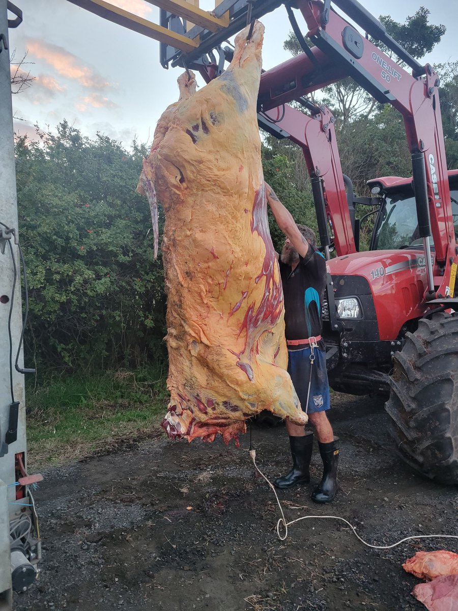 Theblackfemini3's tweet image. GUESS THE WEIGHT!
Closest to the right weight without going over gets a kilo of snags free with their next order online or in store 😁
This cow was attacking anything that moved so she had to be moved on.
Contrary to some people's beliefs, cows can be extremely dangerous.…