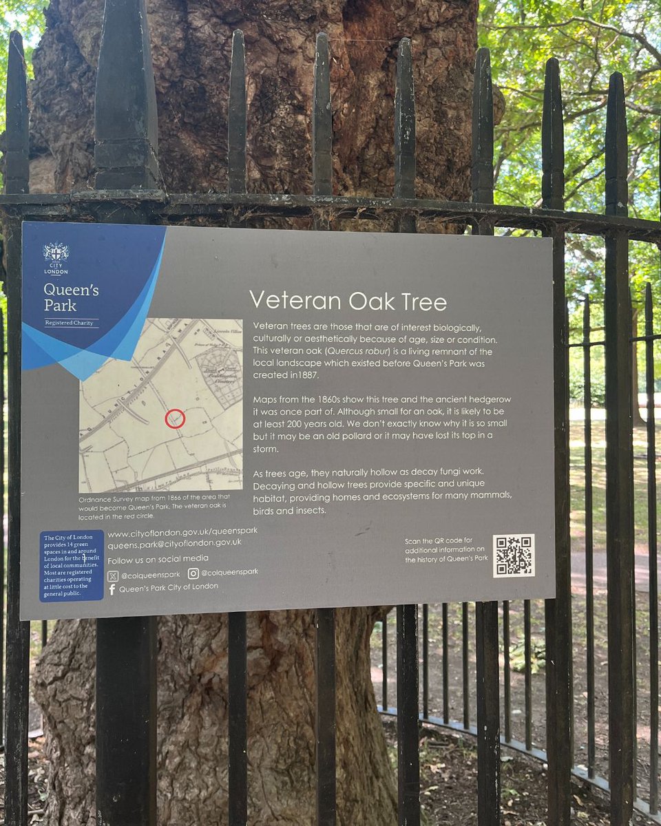 You may have noticed we’ve popped up some new Heritage signs in different locations around the park, so you can learn more about Queen’s Park’s rich history. 🏛️ 

For example, did you know that this Oak tree is thought to be at least 200 years old? 😱

#queensparkheritage