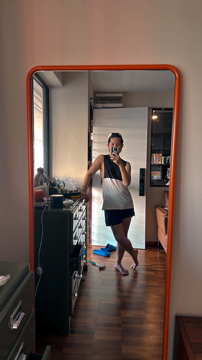 Can finally post mirror selfies.