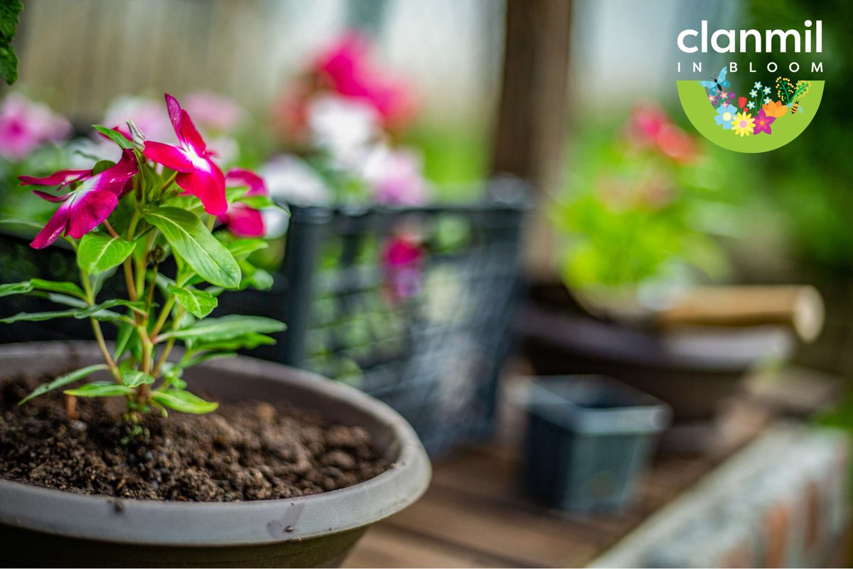 Judging for #ClanmilinBloom2025 starts on Wednesday.

You could scoop the top prize of £100 if you are the winner of any category.

More info ➡️ clanmil.org.uk/apply-clanmil-…
