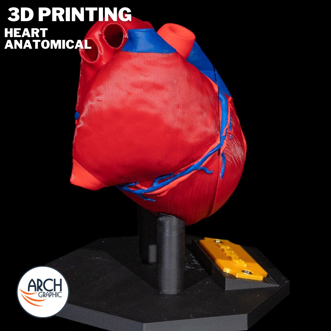 3d_archgraphic's tweet image. ❤️ 3D Printed Heart Anatomical Model 🔬
High-detail medical model for cardiology training, research, surgical planning.
arch-graphic.com
#3DPrintingUAE #Medical3DPrinting #HeartModel #CardiologyTraining #AnatomicalModels #SurgicalPlanning #Healthcare3DPrinting #UAE3DPrint