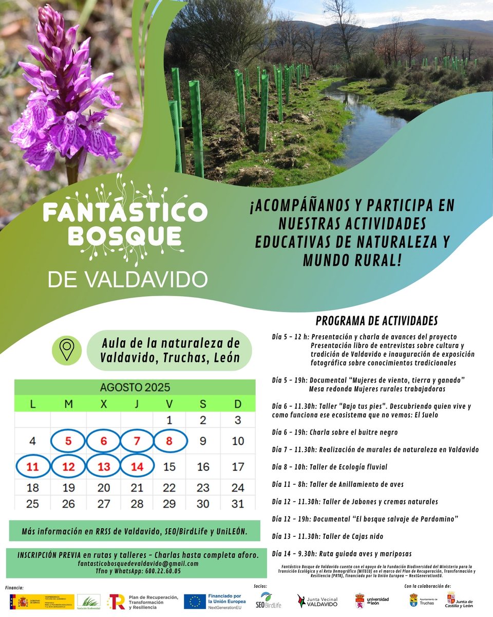 SEO_BirdLife's tweet image. 📆 Entre el 5 y 14 de agosto vuelven las actividades educativas del proyecto Fantástico Bosque de Valdavido en León.
En conjunto con la junta vecinal de Valdavido, sus socios y la universidad de León organizamos actividades enfocadas al conocimiento de la naturaleza en el mundo…