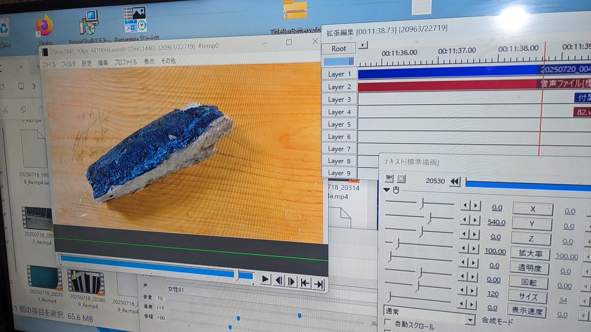 dragon9uest's tweet image. 連休中に新動画を公開したかったですが、編集が終わりませんでした。カゴ釣り動画は、火曜日の夜に公開します。よろしくお願いします。