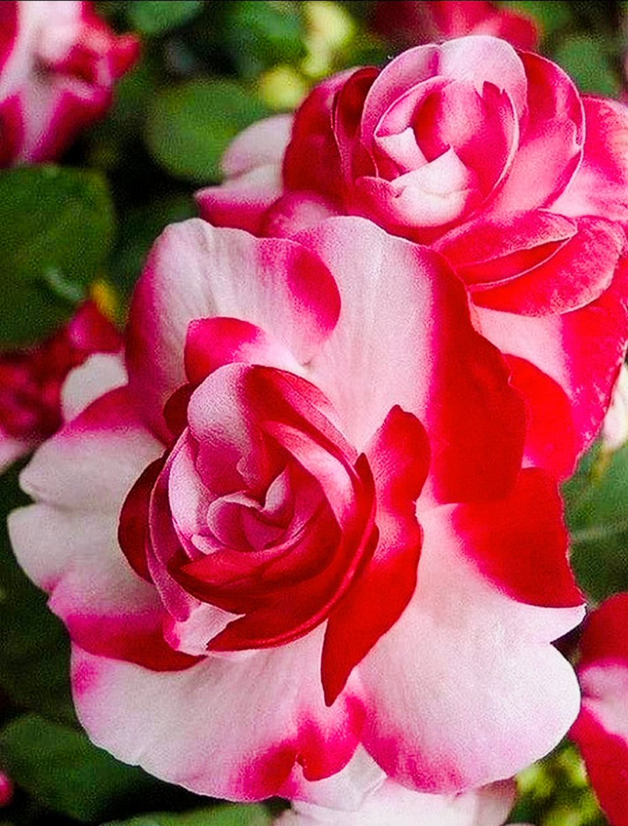 azzurra9598's tweet image. Amare e pregare sono lo stesso verbo, perché se prego con il cuore amo e se amo prego... Dio Amore.