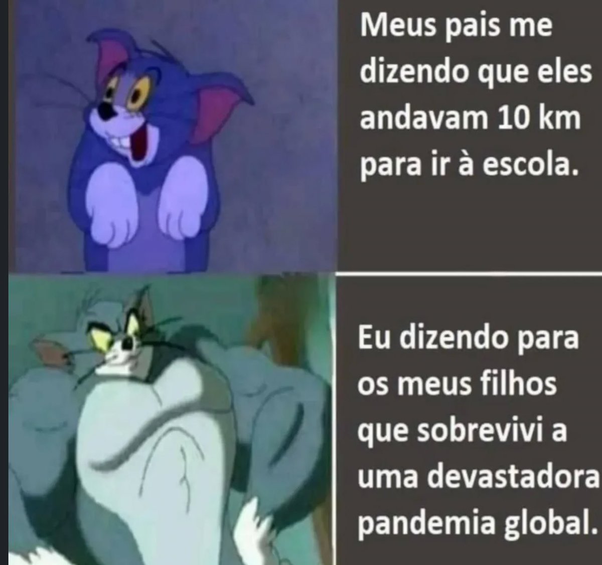 Shitpost só que de verdade (@shitpostverdade) on Twitter photo 