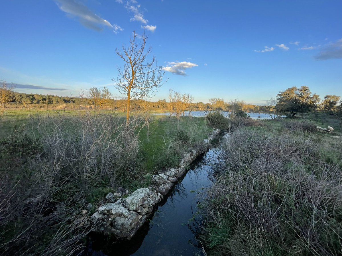 El Butlletí de la ICHN ha publicat el treball de revisió més extens i profund del patrimoni natural de l’Albera fet fins a dia d’avui: L’Albera com a unitat funcional: aspectes naturals més destacats i reptes per a la seva conservació.
ichn.iec.cat/wp-content/upl…
Gràcies als autors!