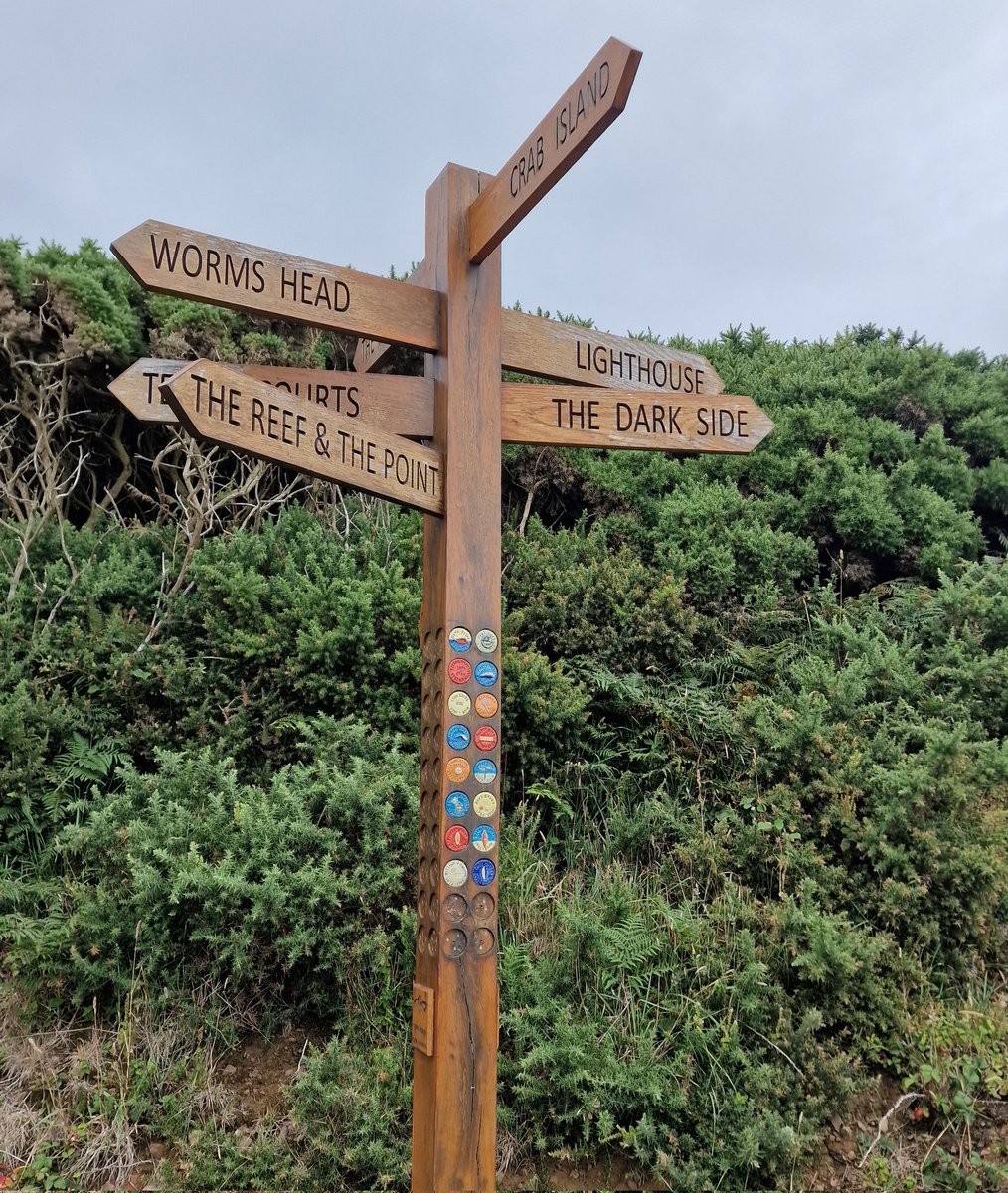 TrekkingTony68 (@trekkingtony68) on Twitter photo This sign post should be on all Ultra Challenge routes, it points to the dark side, we all have been there, taken on the Gower peninsula day 2 <a href="/UltraChallenges/">Ultra Challenge</a> This sign post should be on all Ultra Challenge routes, it points to the dark side, we all have been there, taken on the Gower peninsula day 2 <a href="/UltraChallenges/">Ultra Challenge</a>