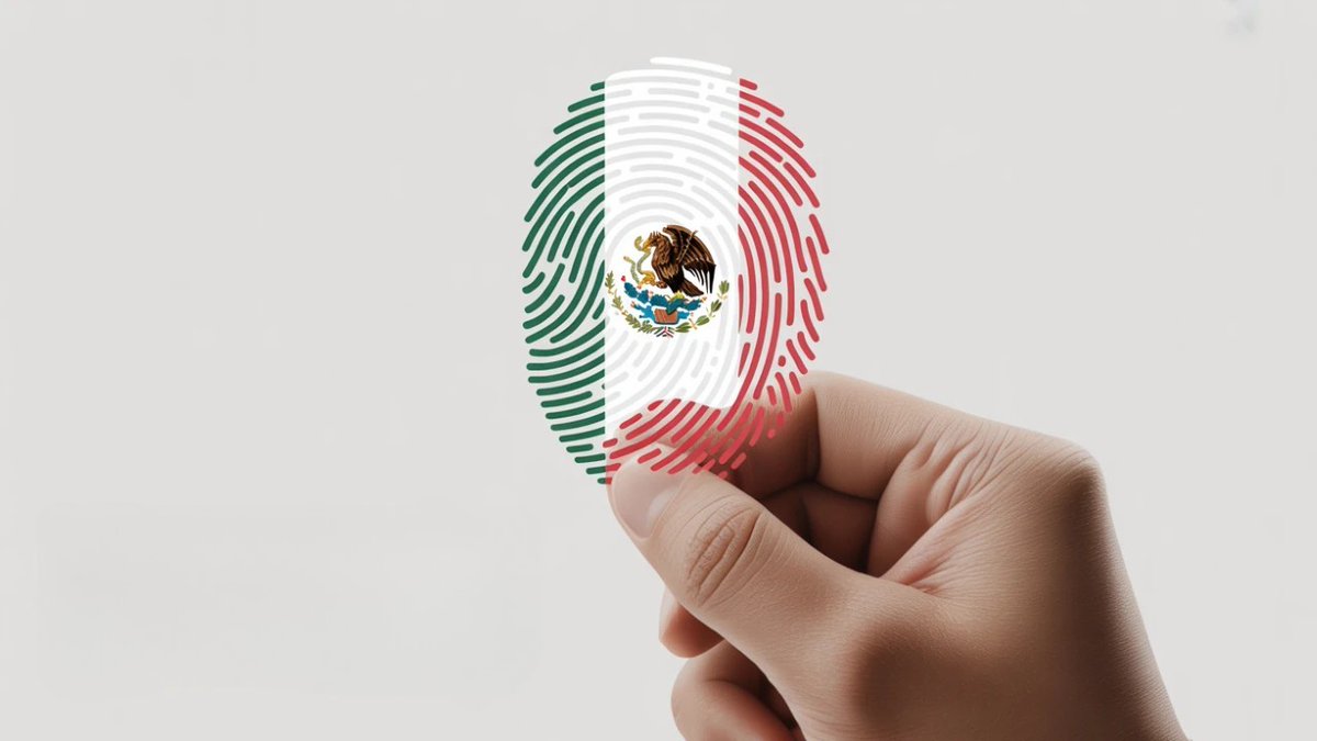 marcvidal's tweet image. 🚨🇲🇽 México impondrá la credencial biométrica obligatoria compuesta por huellas, iris y reconocimiento facial.
El gobierno de México da el salto definitivo hacia la vigilancia total al transformar el CURP en una credencial biométrica obligatoria. Para febrero de 2026, cada…