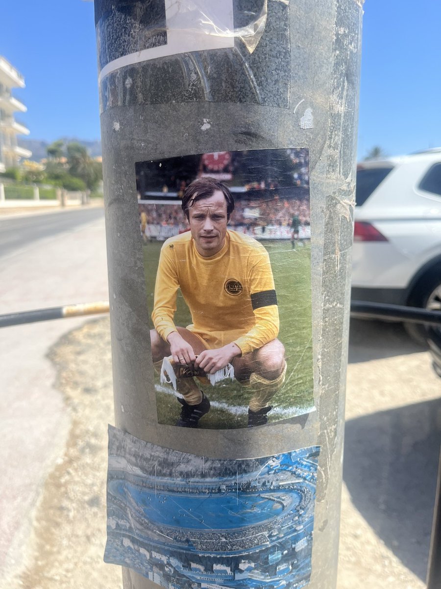 minilikeblid's tweet image. Har du sett. På en lyktestolpe i Altea. Den største @Glimt
