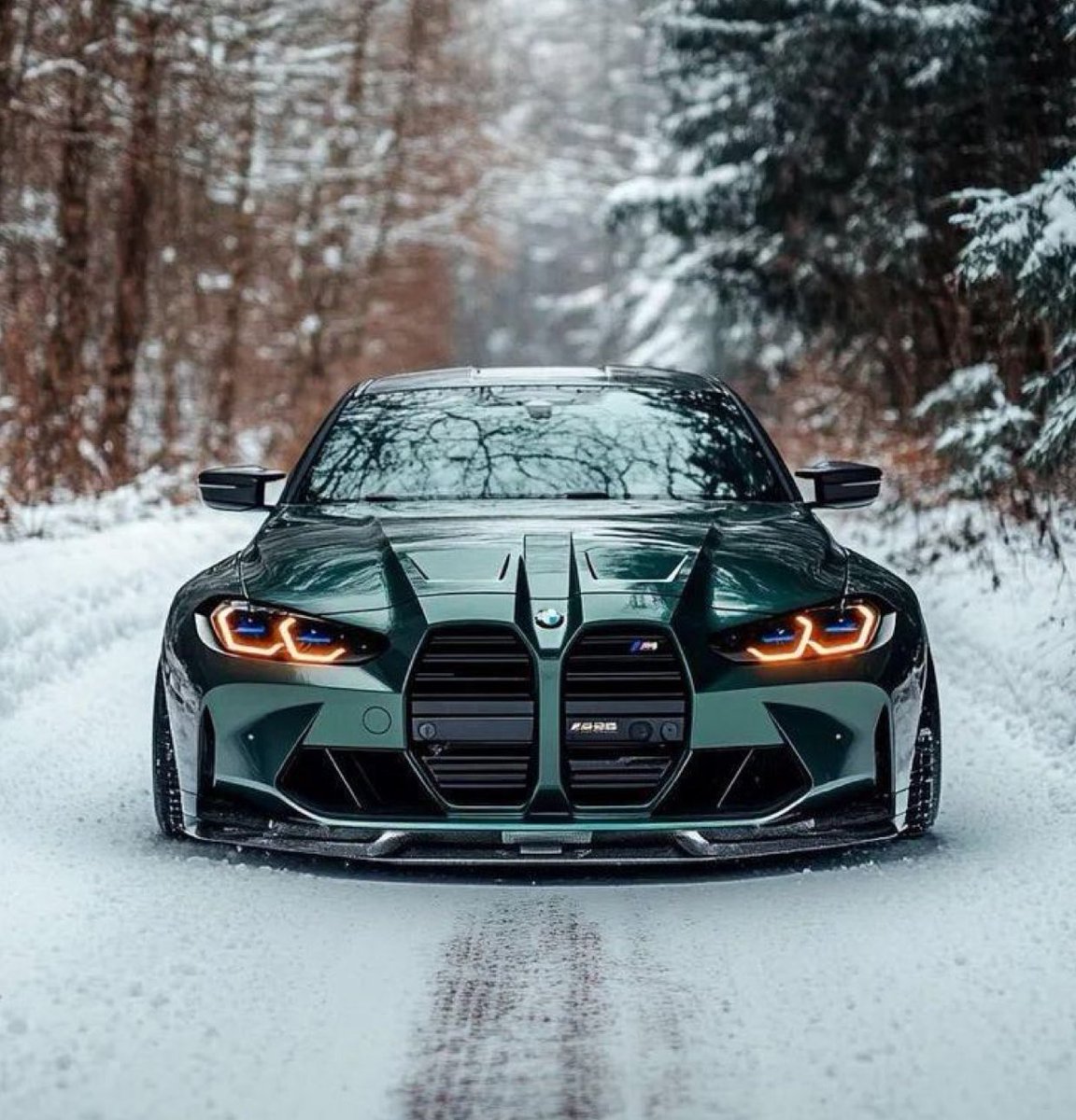 FullT95's tweet image. BMW 🌲