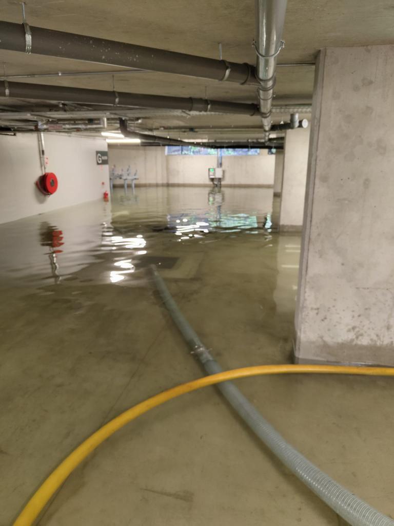 DubFireBrigade's tweet image. Firefighters from Tara Stree have responded to several weather related incidents this morning.
A Status Orange rainfall warning is in effect until 1400 hours.
@MetEireann
📷File