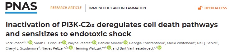 CellSig_Lab (@cellsigl) on Twitter photo Great to see York Posor’s work on PI3K-C2alpha published: shorturl.at/d8Y5C, concluding 25 years of research in <a href="/CellsigL/">CellSig_Lab</a>, dedicated to elucidating the roles of @PI3K family members by gene targeting. Many thanks to <a href="/SarahConduit/">Sarah conduit</a> & <a href="/BBSRC/">Biotechnology and Biological Sciences Research</a> <a href="/EMBO/">EMBO</a> <a href="/MSCActions/">Marie Skłodowska-Curie Actions</a> <a href="/CRUKresearch/">Science and Innovation at Cancer Research UK</a> Great to see York Posor’s work on PI3K-C2alpha published: shorturl.at/d8Y5C, concluding 25 years of research in <a href="/CellsigL/">CellSig_Lab</a>, dedicated to elucidating the roles of @PI3K family members by gene targeting. Many thanks to <a href="/SarahConduit/">Sarah conduit</a> & <a href="/BBSRC/">Biotechnology and Biological Sciences Research</a> <a href="/EMBO/">EMBO</a> <a href="/MSCActions/">Marie Skłodowska-Curie Actions</a> <a href="/CRUKresearch/">Science and Innovation at Cancer Research UK</a>