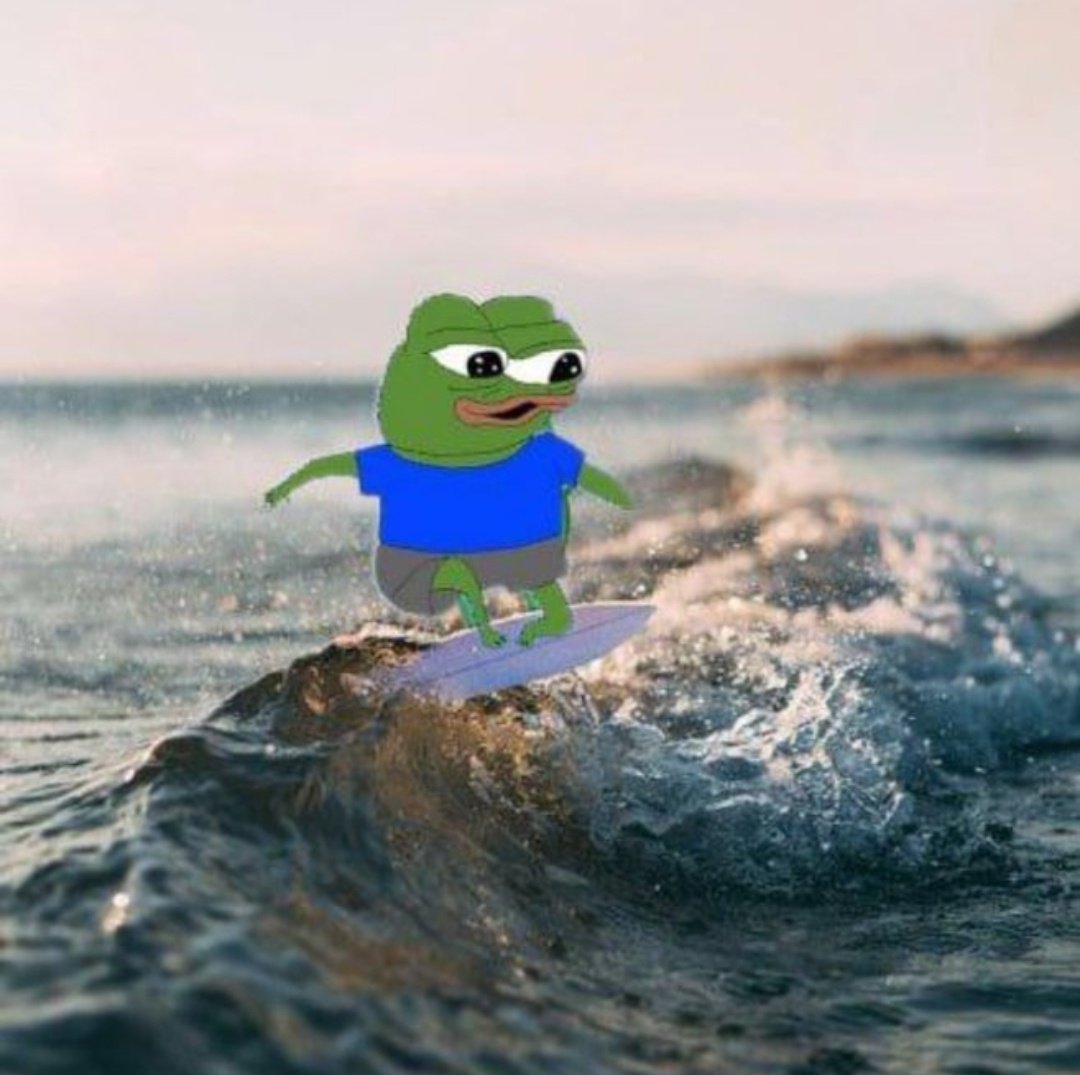djoey44's tweet image. Gm frens🐸