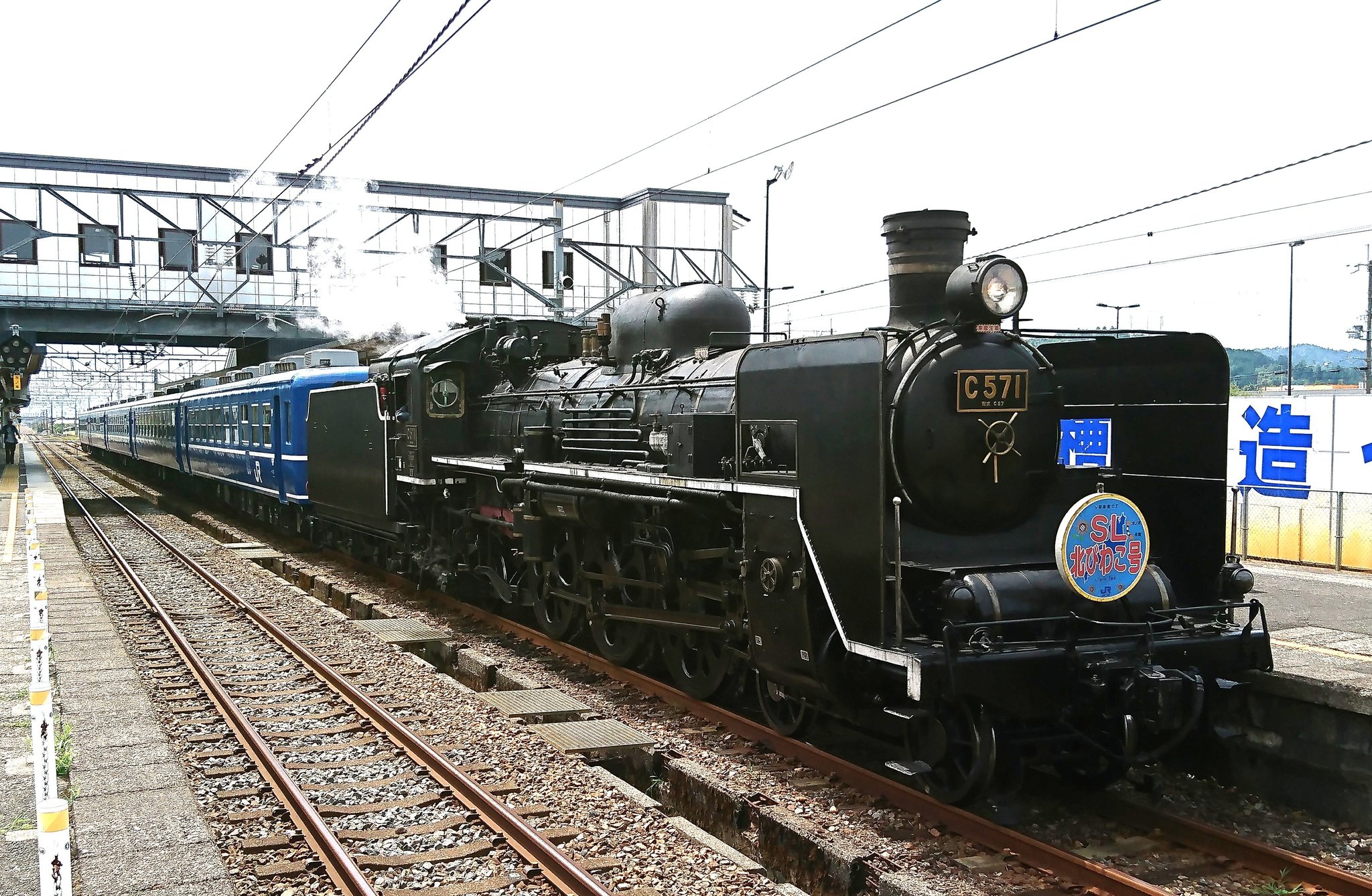 鉄道 鐵Cテッシー ※欲しいメダルをコメント願います※ 鉄道コイン 鐵C