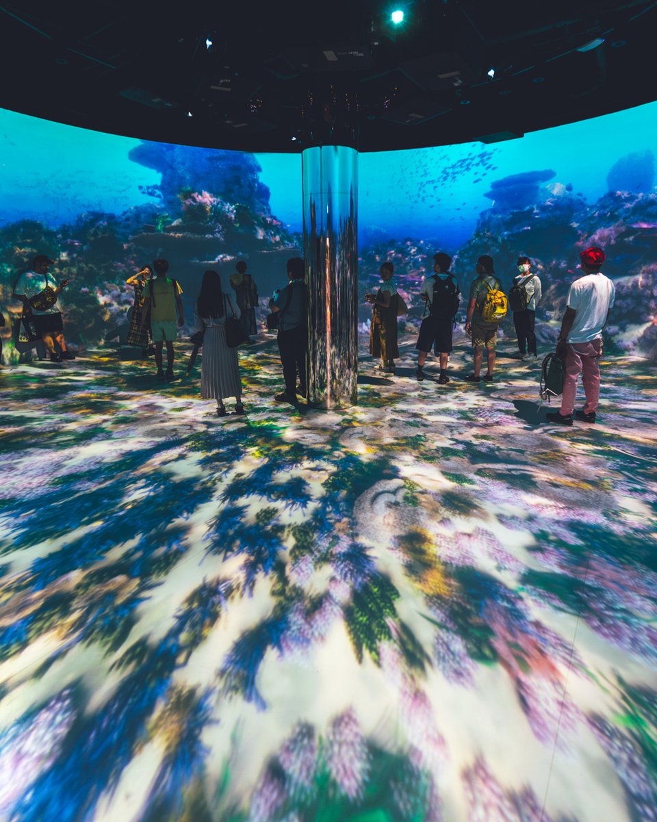 expo2025japan's tweet image. ┊✧✧✧ BEST PHOTO ✧✧✧┊
2025.07.21
⋱⋰ ⋱⋰ ⋱⋰ ⋱⋰
🌊🫧🐟🐠🫧🌊
⋱⋰ ⋱⋰ ⋱⋰ ⋱⋰
#EXPO2025 #HelloEXPO2025