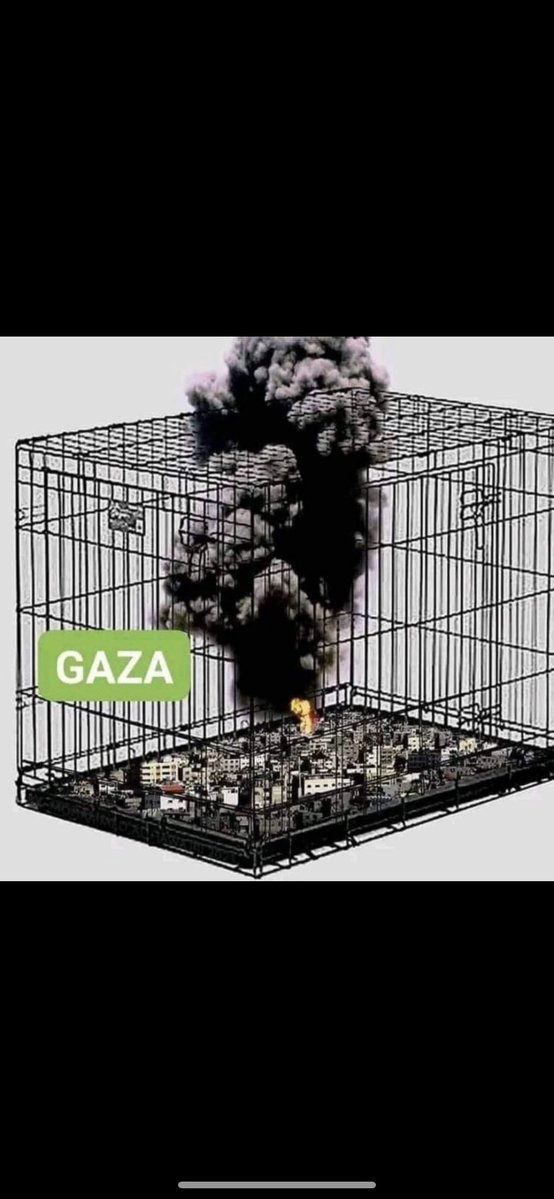 mila_in_Gaza's tweet image. We will not die from the bombing, we will die of hunger chuffed.org/project/123291…