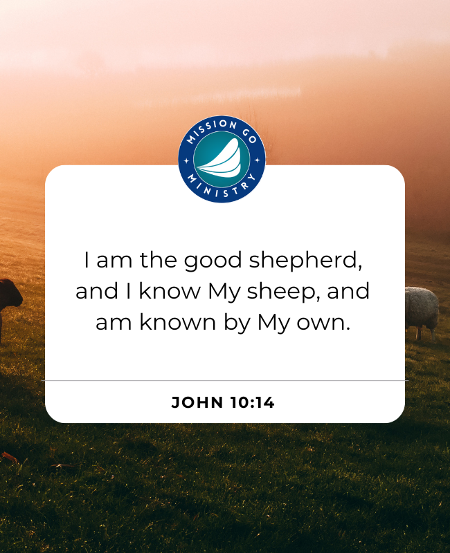 missiongoweb's tweet photo. "I am the good shepherd; and I know My sheep, and am known by My own."
~ John 10:14 ~
#ScripturePromise #faith #praise #love #truth #Christian #ChristianLife https://t.co/biAt9DtsQF