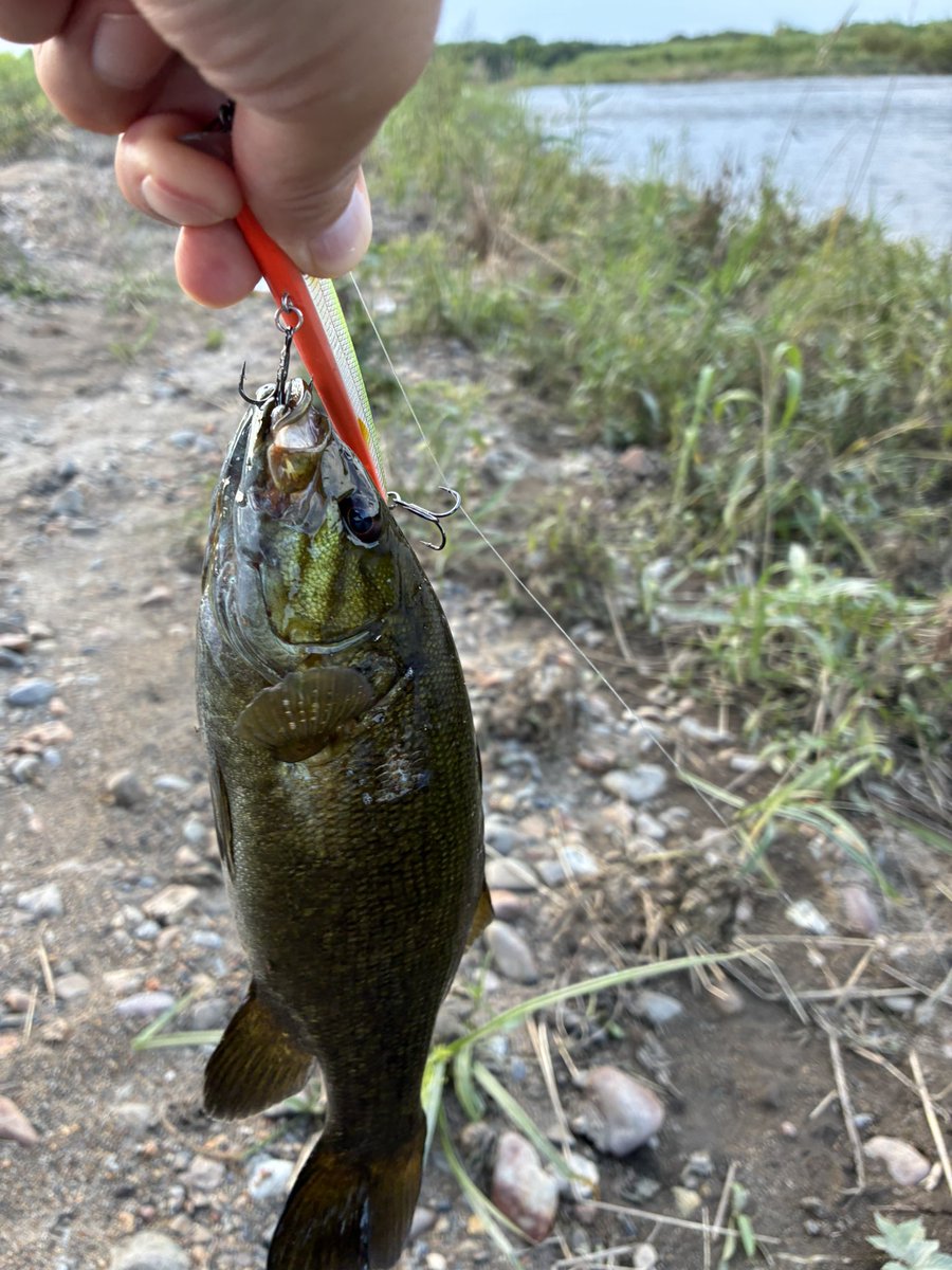 まーさんのバス釣り (@fishing_mar49) / Posts / X