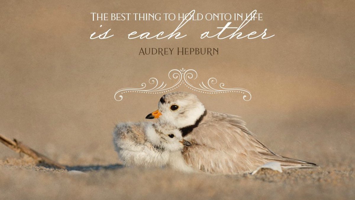 TheCarceri's tweet image. HERMIT RULES:
20: Contemplation consists in attending to and adhering to the Presence of God in the depth, root, and centre of our being. 
21: Transcend the times when you find yourself in an adverse environment and transform into love the  impositions of any place.