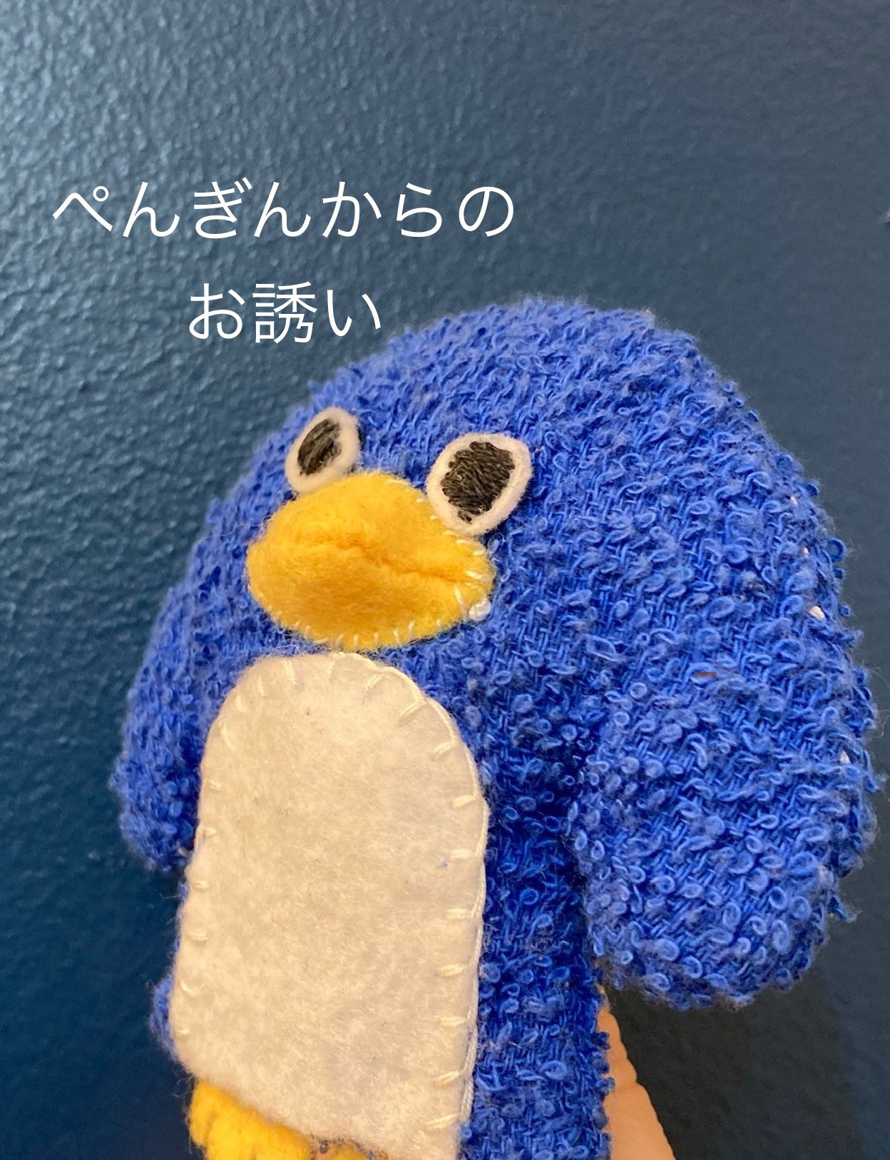 ペンギン(・Θ・) ジェンツーペンギン - Cerca / X