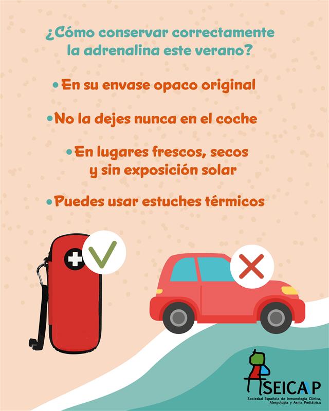 SEICAP's tweet image. Si usas adrenalina autoinyectable, es importante conservarla correctamente para que mantenga su eficacia.

✅ Guárdala en su envase original
✅ En lugares frescos,secos y sin exposición solar
✅ Puedes usar estuches térmicos

Todas las recomendaciones aquí
seicap.es/como-conservar…