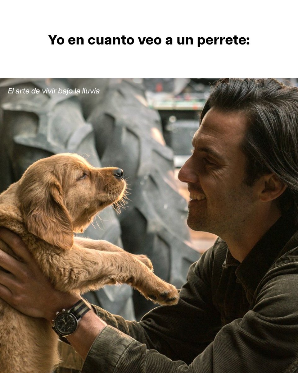 DisneyPlusES's tweet image. Literal que es así 🥰 #DíaMundialDelPerro