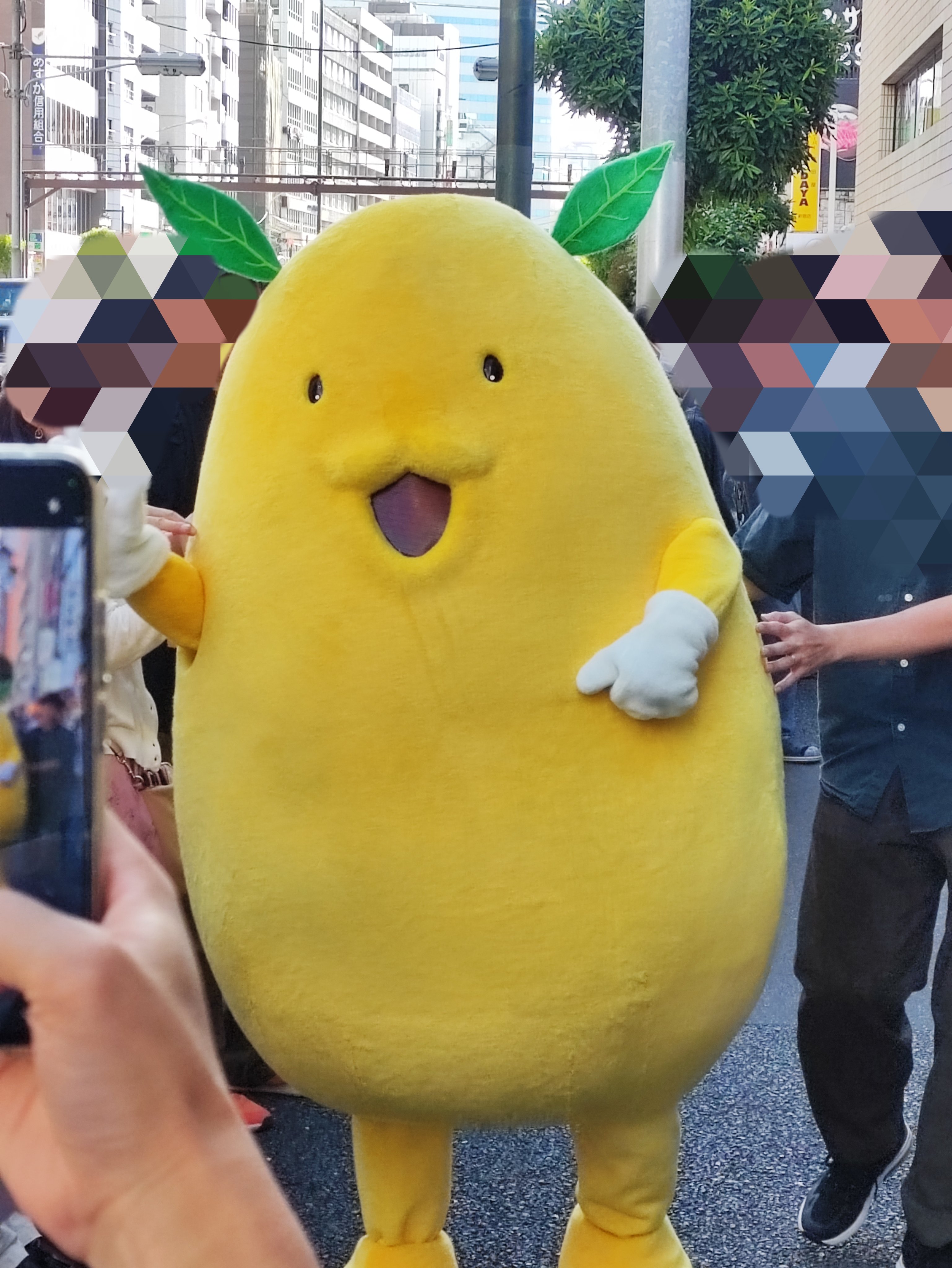 ももえびしゃちたこ