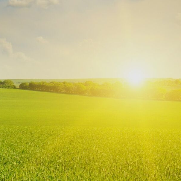 Our environmental policy isn't just words on paper. This policy shapes our entire process. From sourcing materials through processing until delivery. 
Read our policy: bit.ly/45L3sF2
#SustainableManufacturing #EnvironmentalPolicy #ResponsibleBusiness #GreenBuilding