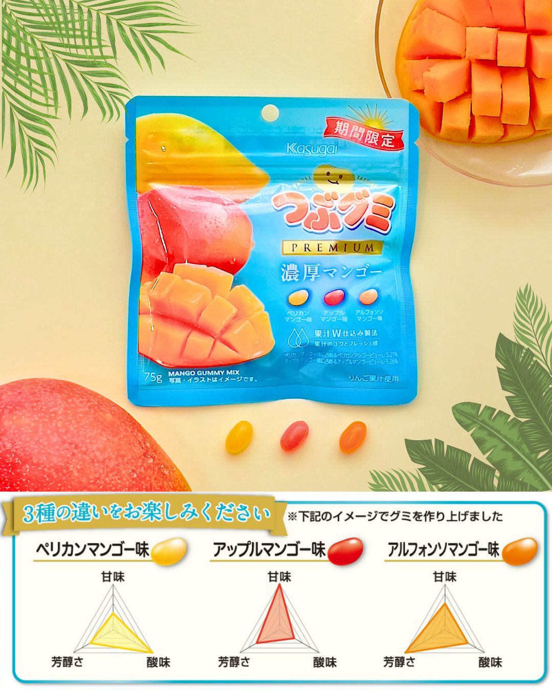 Maruoo.⭐️販売再開⭐️様 Amazon.co.jp: [ミドリ安全] 安全作業靴 JSAA認定 ニット