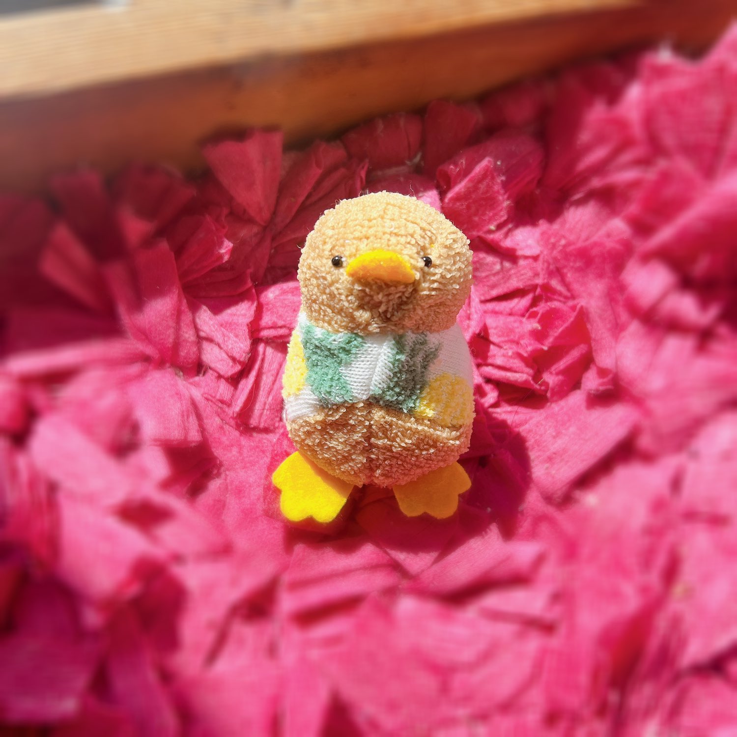 ひよこ♡ SEIはひよこの人🐥 on X: 