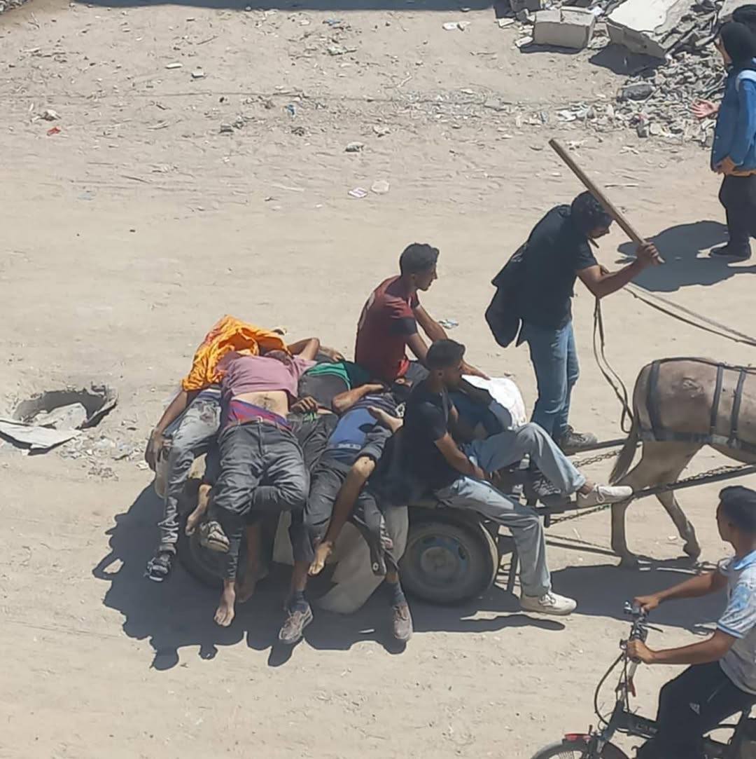 Bdía,
73 palestinos asesinados y 150 heridos cuando intentaban llegar a los centros de distribución de ayuda humanitaria en #Gaza.
No son solo números... son niños cuya infancia está siendo robada bajo el silencio del mundo "civilizado".
#Vergüenza.
#NeverStopTalikingAboutGaza