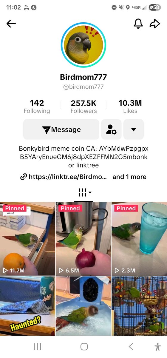 Birdmom put the official Ca in her bio on tiktok! 

She also changed her profile pic! $bonky bird to a million!
