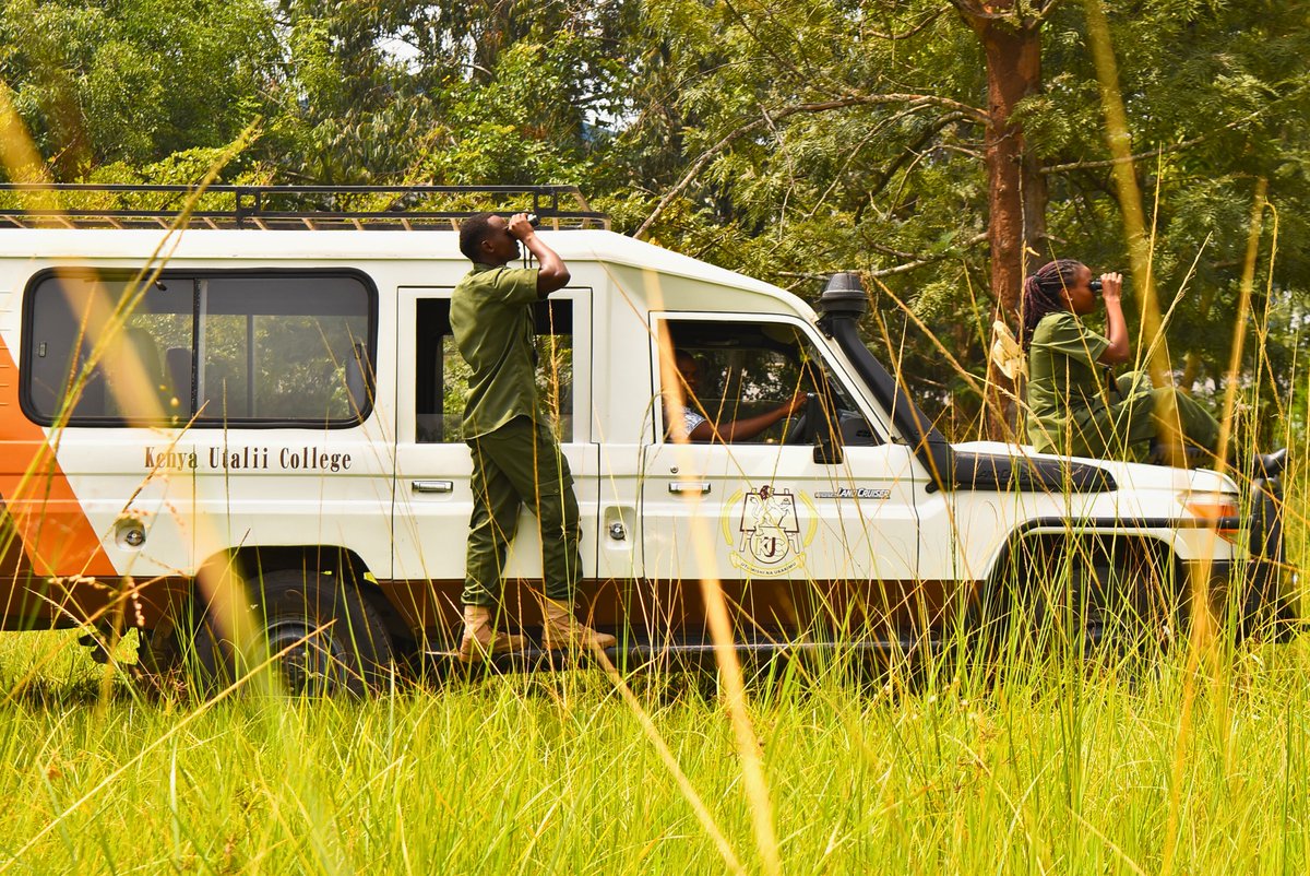 A tour guide brings many strengths to the experience;
deep historical knowledge, storytelling flair, factual accuracy, ability to entertain and emotionally connect with guests.
For a memorable tour, which quality stands out most for you?