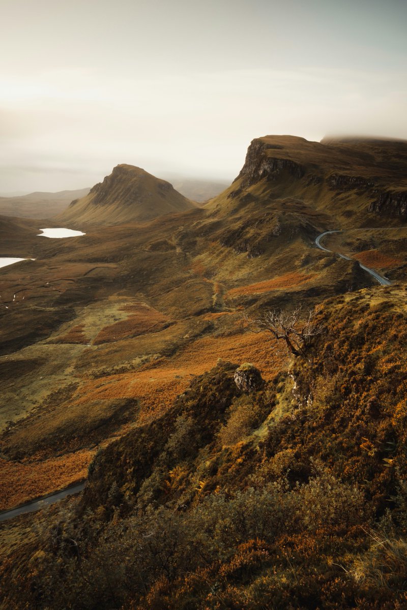 earthcurated's tweet photo. The Highlands of Scotland 🏴󠁧󠁢󠁳󠁣󠁴󠁿 https://t.co/DFCotJgIVn